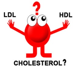 Cholesterol 