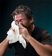 Hayfever 